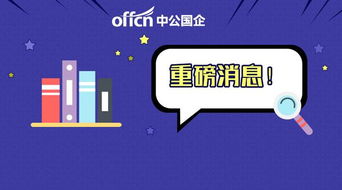 月薪3000-6000元加績效，無筆試計算機軟硬件開發崗位解析
