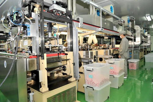 榆社強勢啟動27.6億元投資，38個重點項目聚焦生物化工技術研發